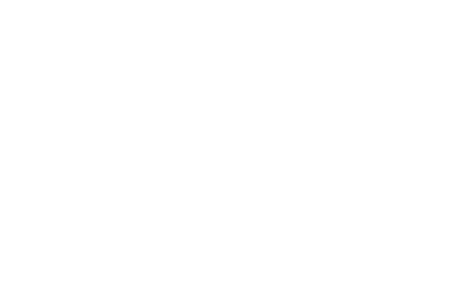 Leadership academy