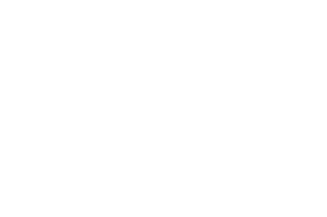 Leadership Academy Title