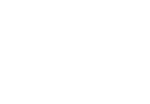 Sales Management Academy Logo Negative
