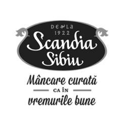 Scandia Sibiu logo client training