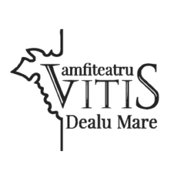 Vitis Client Sfera Business