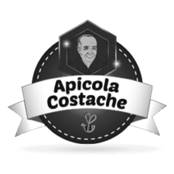 Apicola Costache Logo