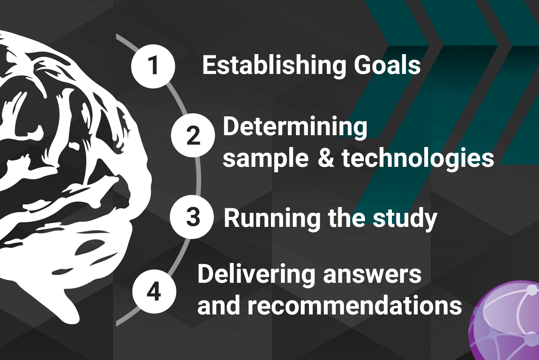 NeuroProject Neuro marketing project flow