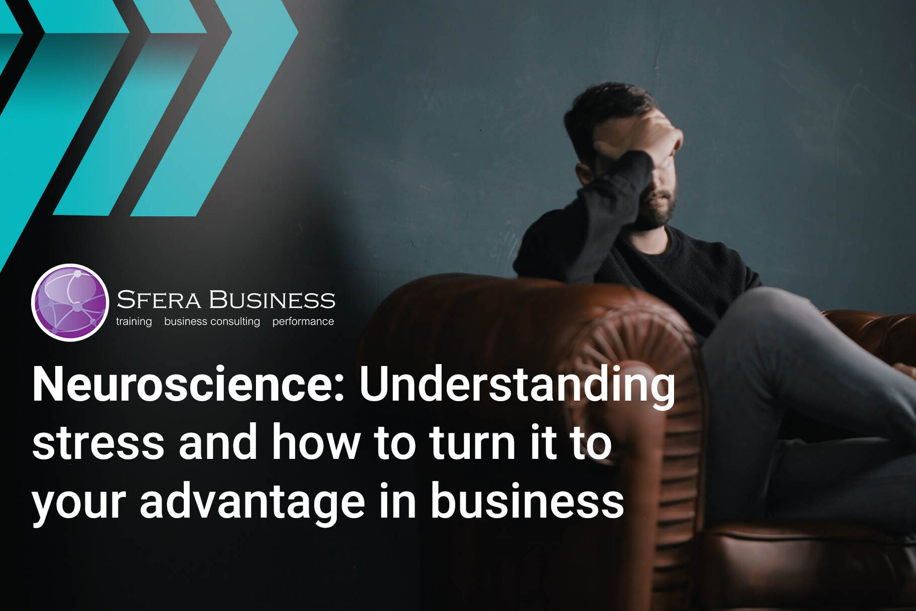 NeuroscienceStressArticle Neuroscience stress neuromarketing